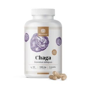 MycoWay, Chaga, 180 capsule - Img 2