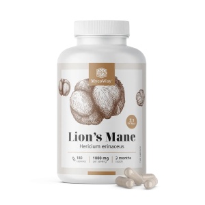 MycoWay Lion's Mane, capsule cu extract de Coama Leului 5:1, susține memoria, concentrarea și funcțiile cognitive, 180 capsule - Img 2