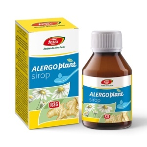 ALERGOplant R36, sirop destinat susținerii imunității și confortului în perioadele cu alergii sezoniere, 100 ml, Fares - Img 2