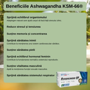 Ashwagandha, 60 capsule, Balkan Pharmaceuticals - Img 9
