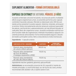 Capsule cu extract de Usturoi cu Păducel și Vâsc, 30 capsule, Parapharm - Img 2