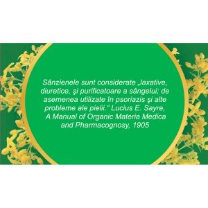 Ceai Sânziene iarbă U 91, 50 g, Fares - Img 4