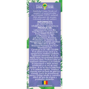 Circulație cerebrală și memorie N172, capsule care susțin memoria, concentrarea și circulația cerebrală și ajută la reducerea oboselii mentale, 63 capsule, Fares - Img 4