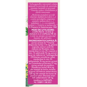Distonoplant Forte N171, capsule care ajută la reducerea stresului, anxietății și oboselii psihice și susțin echilibrul emoțional, 60 capsule, Fares - Img 3