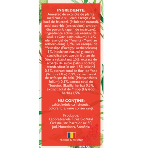 Hapciu Răceală și Gripă solubil, R30, 12 plicuri, Fares - Img 2