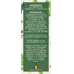 Hepatofit Forte D100, 63 capsule, Fares - Img 3