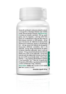 AdaptoHelp Complex, cu Ashwagandha, Rhodiola și Brahmi, ajută la adaptarea organismului la stres, susține concentrarea și reducerea oboselii, 30 capsule, Zenyth - Img 2