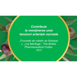 Ceai Frunze de Măslin F 189, 50 g, Fares - Img 4