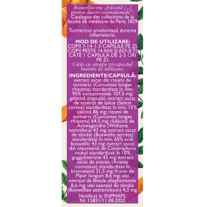 Fitodolor cronic, L99, 30 capsule, Fares - Img 3