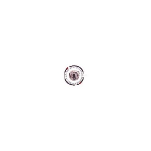 Mecanism Ceas Quartz Citizen 5500
