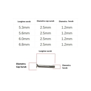 Set 2 suruburi ceas Hublot 2.5x5.1mm - Img 2