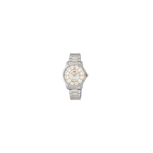 Ceas bărbătesc Q&Q Silver & Gold - A184J401Y