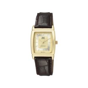 Ceas Barbatesc Clasic Q&Q Q880J100Y