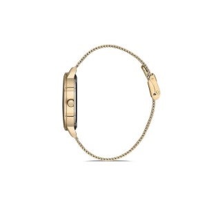 Ceas pentru dama Daniel Klein Premium DK.1.12894.3 - Img 2
