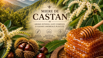 Miere de castan: beneficii, proprietăți, contraindicații și cum alegi cea mai bună miere de castan din Grecia
