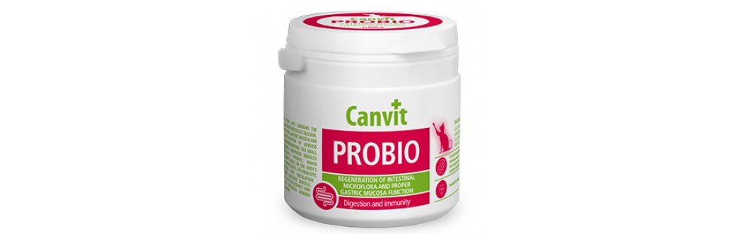 Canvit