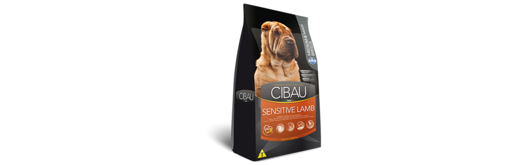 Cibau