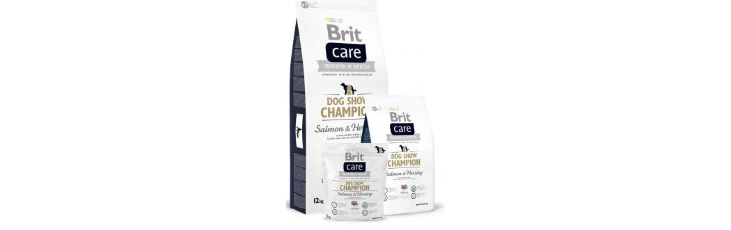 Brit Care