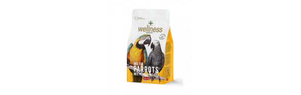 Wellness