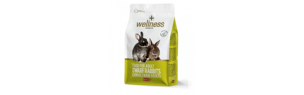 Wellness Padovan