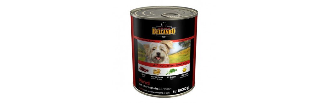 Belcando