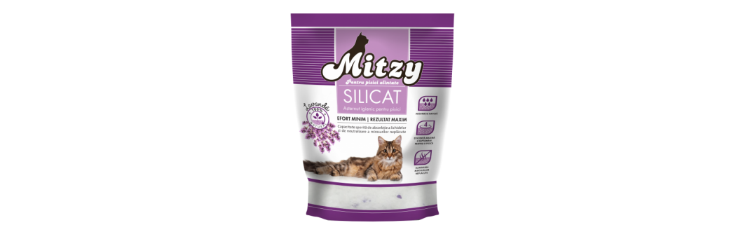 Mitzy