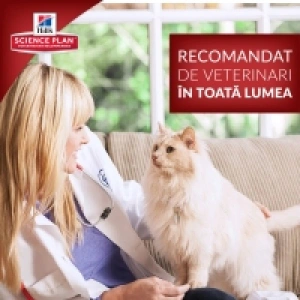 Hill's SP Feline Kitten cu Pui, 2 kg + cadou 1 x ulei somon salbatic Nutrivet 250 ml - Img 3