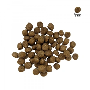 Hrana uscata pentru caini For Dog, Adult Mini, 10 Kg - Img 2