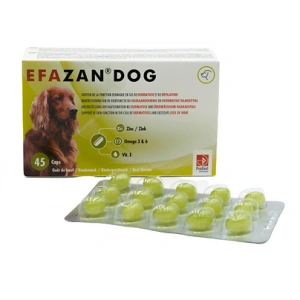 Efazan 45 capsule