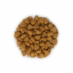 Hill's SP Feline Kitten cu Pui, 10 kg + cadou 2 x ulei somon salbatic Nutrivet 250 ml - Img 4