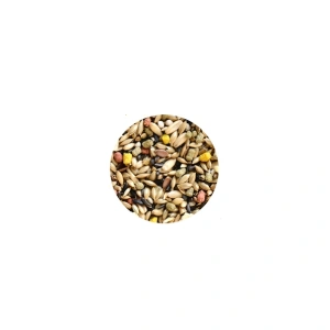 Hrana pentru canari Wellness 1 kg - Img 2