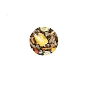 Hrana pentru Hamsteri Wellness Padovan 1 kg - Img 2