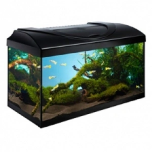 ACVARIU DIVERSA 60 NEGRU 54 L