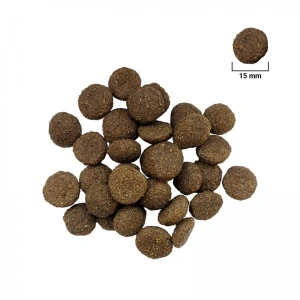 Hrana uscata pentru caini For Dog, Adult Maxi, 10 Kg - Img 2