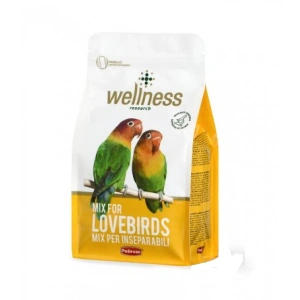Hrana pentru agapornisi Wellness 850 gr
