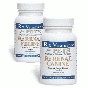RX Renal Caine 120 capsule