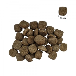 Hrana uscata pentru caini For Dog, Adult Medium, 10 Kg - Img 2