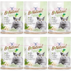 Pachet 6 x Nisip pentru pisici CAT RINA Tofu ce ceai verde 5.5L