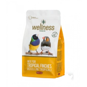 Hrana pentru pasari tropicale Wellness 1 kg