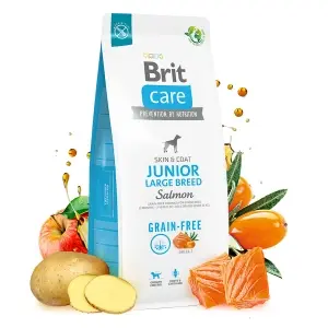 Brit Care Grain Free Junior Large Breed Somon si Cartofi 12 kg + 3 kg