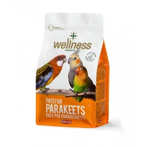 Hrana pentru papagali mari Wellness Pate 600 gr