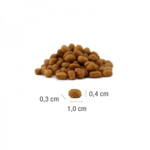 Hrana uscata pentru pisici, Platinum Meat Crisp Kitten, 1,5 kg - Img 3