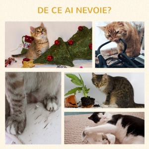 Ansamblu de pisici, Centrul de activitati pentru pisici, jucarie din lemn, turn cu pat pentru pisici, jucarie cu bila agatata, bej - Img 6