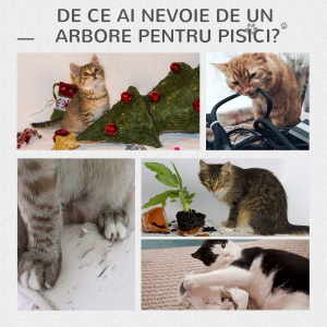 Centru de activitati cu spatiu pentru zgariat culcus cu perna detasabila din plus lemn gri - Img 8