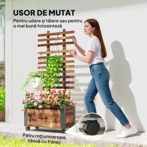 Jardiniera cu Spalier pentru Plante Agatatoare si Roti - Img 5