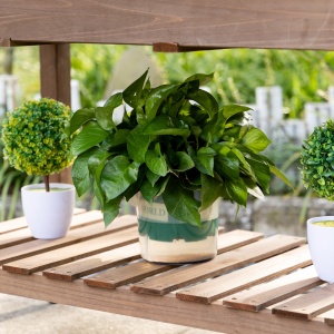 Jardinieră pe Picior - Carré potager cu roți - raft, Tavă Rabatabilă, Inserturi de Irigare, Fâș de Drenaj Inclus - Lemn Brad pre-uleiuit - Img 3