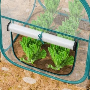 Mini Seră Pop-Up cu Acoperire din Plastic, Fereastră Rulabilă și Geantă, 70x70x80 cm, Transparentă - Img 9