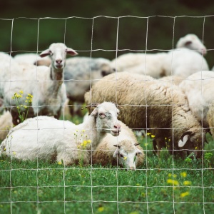 Rola Plasa Zincata 26,1 m – Gard Siguranta pentru Animale - Img 2