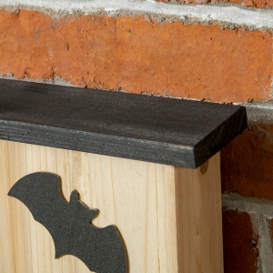 Set de 3 Adăposturi pentru Liliac din Lemn de Brad pentru Exterior, 25x6x37.5 cm, Lemn Natural - Img 8