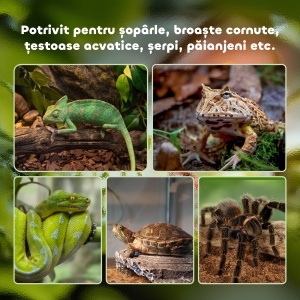 Terariu Înălțat pentru Reptile cu Încuietoare și Ușă pentru Hrănire, 50x30x35 cm, Negru - Img 7